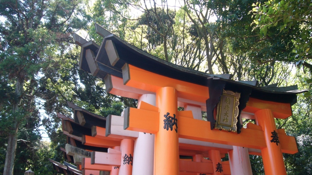 How Studying Temples Lead to Carbon Capture