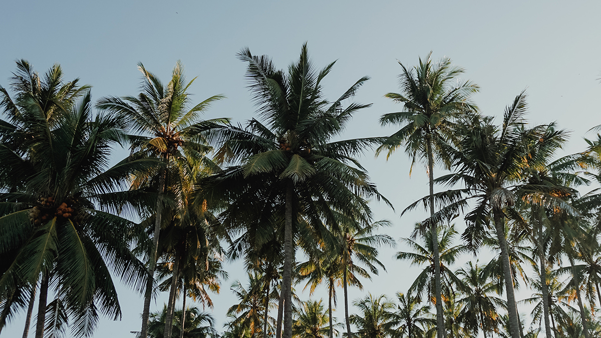 Ambitious Corporate Climate Action