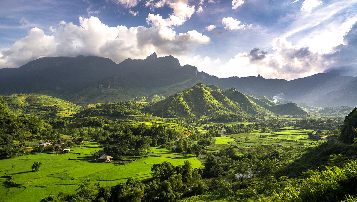 Can an API Make Rice Farming More Climate Friendly?