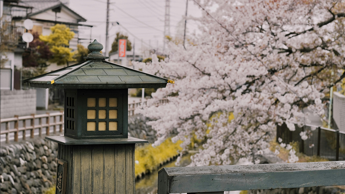 How can we make climate reporting easier?