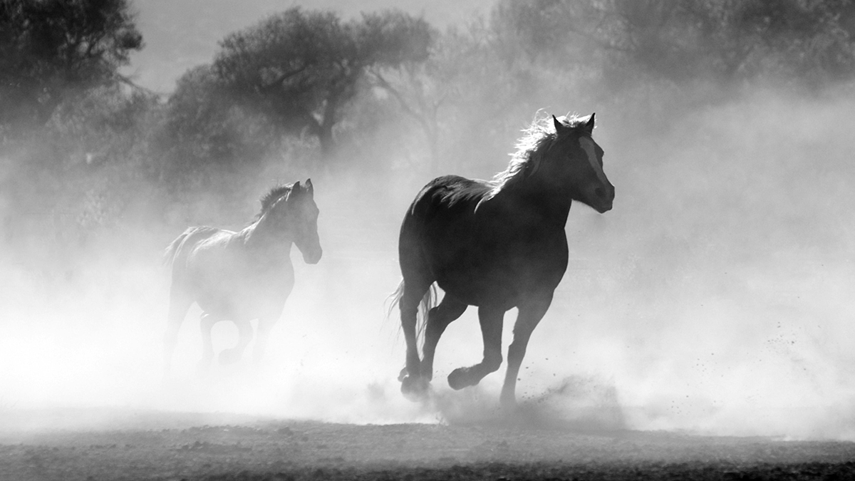 How to 20x climate reporting